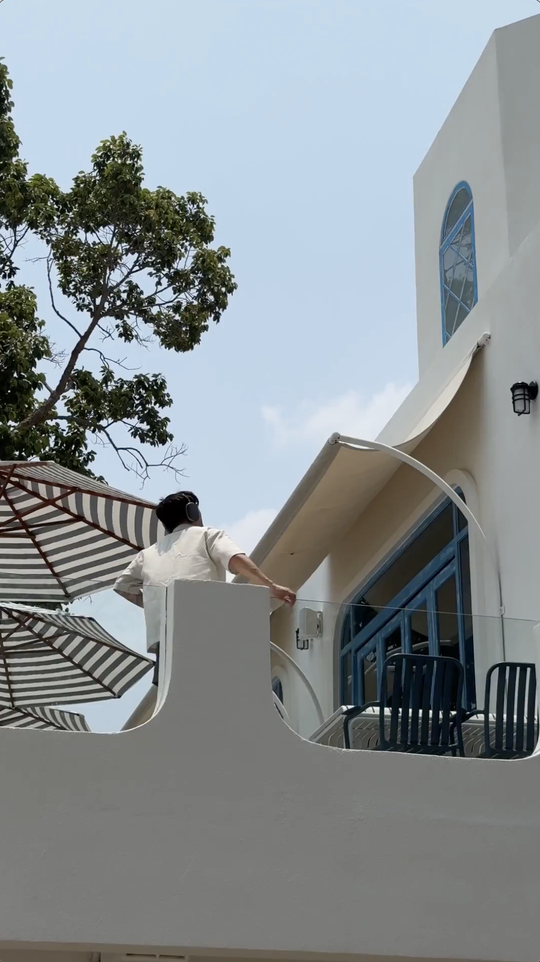 サンプル画像